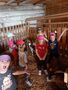 Dzieci z grupy Chmurki zwiedzają zagrodę z kozami