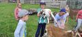 Chłopiec trzymajacy koze obok czworka dzieci i koza