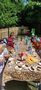 Dzieci z grupy Promyczki przy stole jedza kielbaski